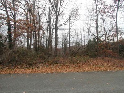 Tbd10 Woodhaven Ct, Charlottesville, VA, 22902