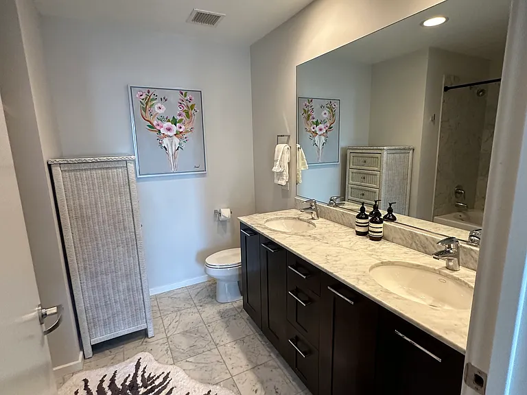 Double sink & sanity in mater bathroom
