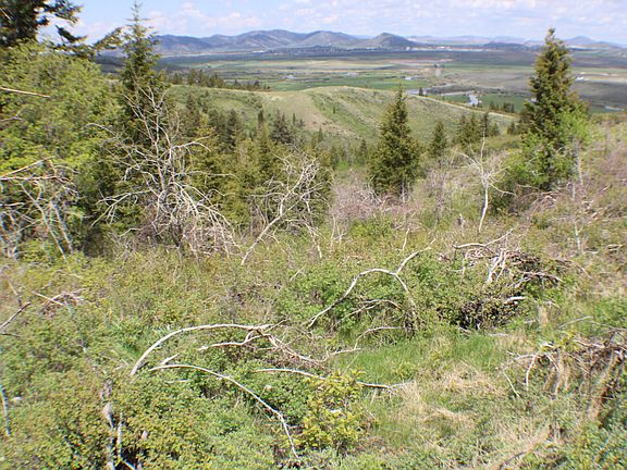 4th image of Caribou Village Subdivision Phase 1 Block 2 Lots 4