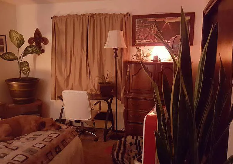 8628 Otis Dr — Photo 2