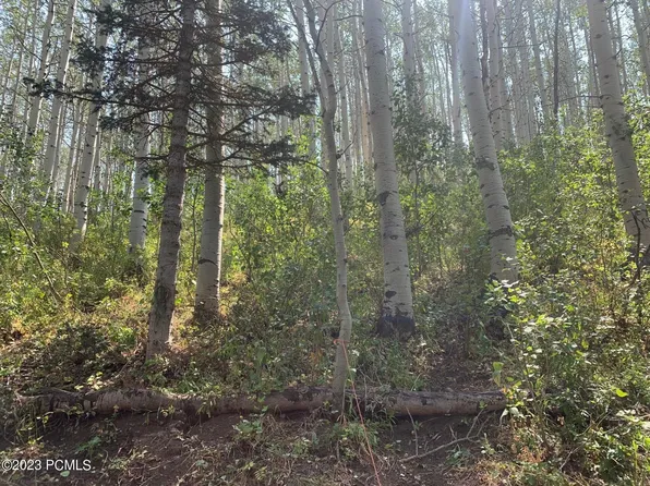 2102 Uintah View Dr, Wanship, UT 84017