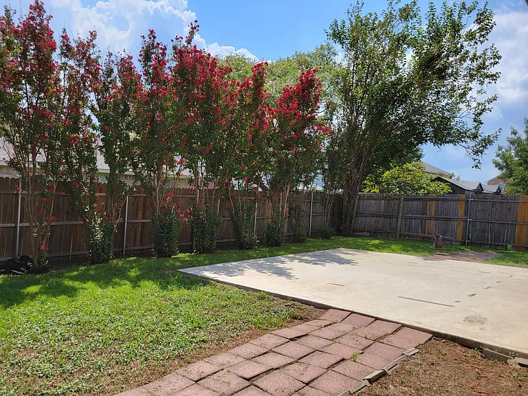 4901 Palm Ridge Dr — Photo 13