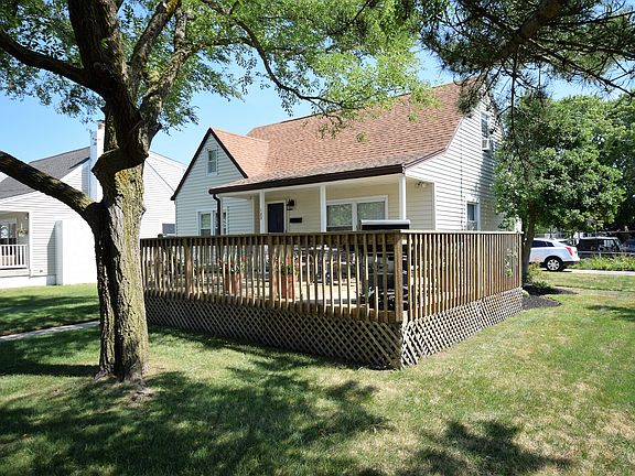 Trees Provide Cool Shade