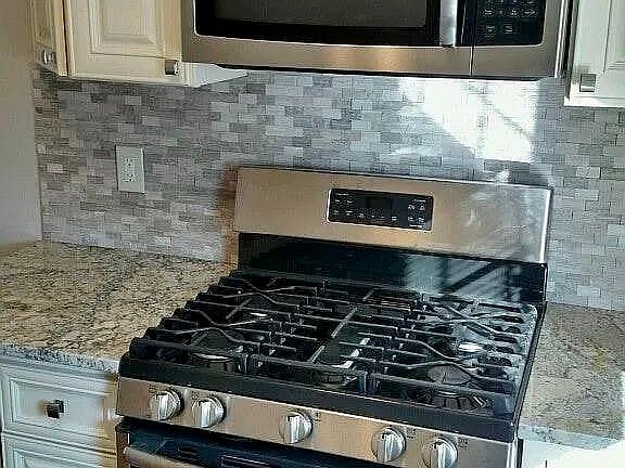 Stainless Steel Gas Stover