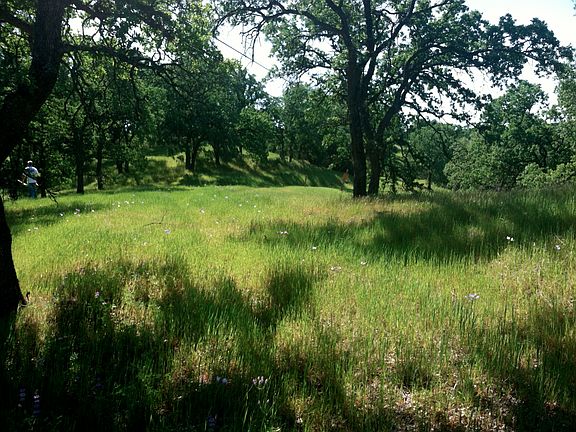 4th image of 10 Five Acres Skyline Drive Red Blf