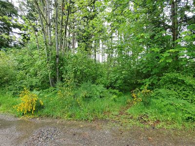 15630 Scenic Shores Drive SE, Yelm, WA, 98597