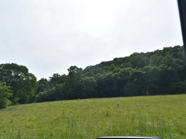 0 Pleasant Shade Hwy Lot 17, Pleasant Shade, TN 37145