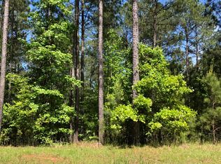 LOT 3 C LIGHTHOUSE POINTE, Lincolnton, GA 30817