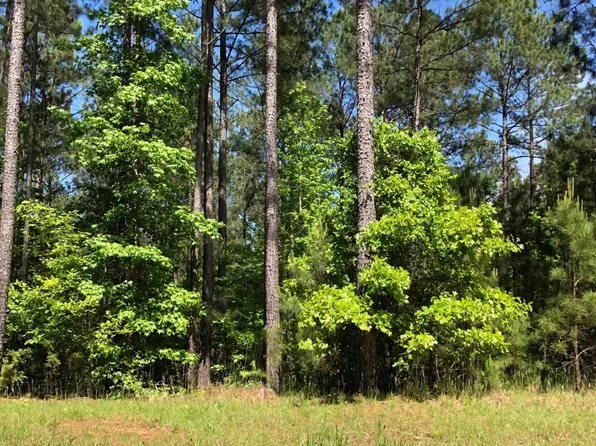 LOT 3 C LIGHTHOUSE POINTE, Lincolnton, GA 30817