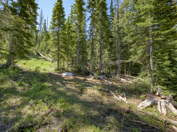 579 Park U Pine Walk, Brian Head, UT 84719