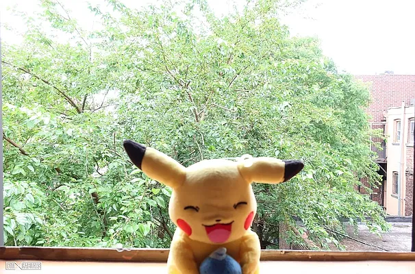 Rented by Dyer Estate Mgmt | media 15