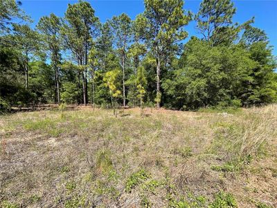 25 SW 21st Pl LOT 25, Ocala, FL, 34470