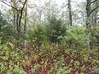 2nd image of 0 Buck Mountain Rd