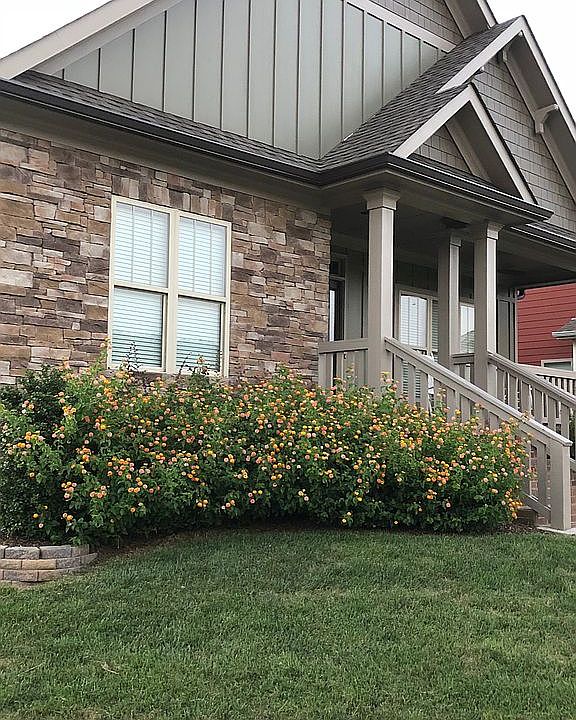 2nd image of 9618 Rookwood Cir