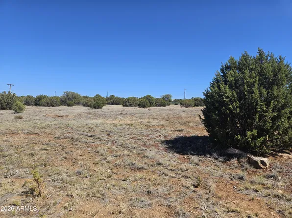 2429 Bourdon Ranch Road #F, Show Low, AZ 85901