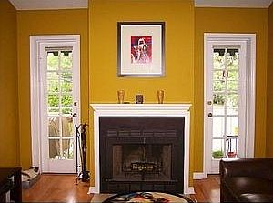 wood burning fireplace, French doors