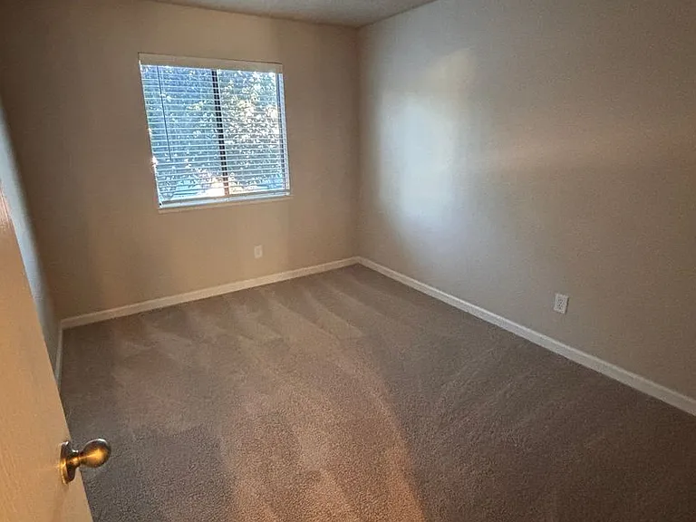 Olive Glen — Photo 23