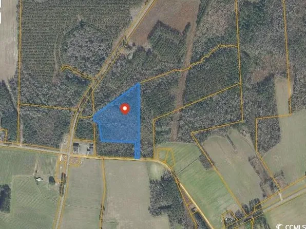 TBD Pleasant View Church Rd., Nichols, SC 29581