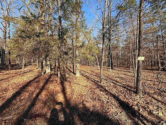 2nd image of 125 Tannenbaum Rd