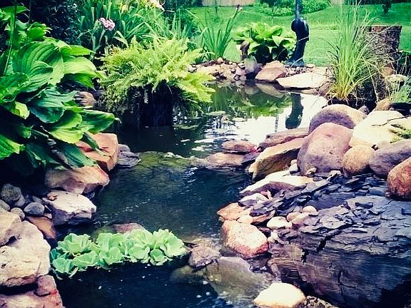 Private 1/2 acre lot