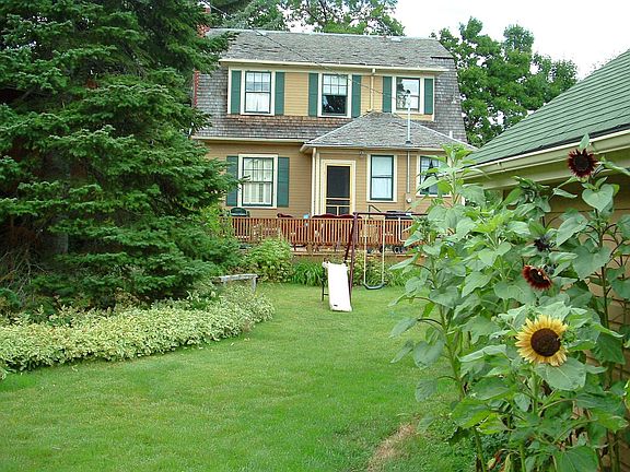 Backyard view from lilac hedge