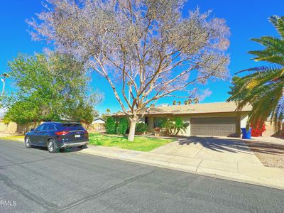2815 S Cottonwood Dr, Tempe, AZ, 85282