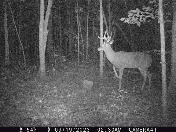 3rd image of 6001 W Highway 635