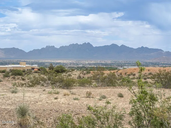 597 Tingo Cir, Las Cruces, NM 88007