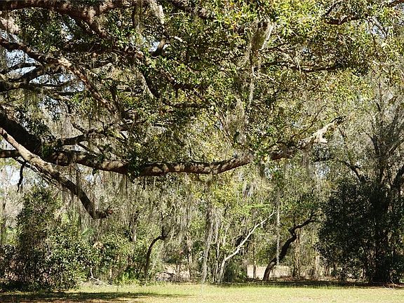 3rd image of 22838 BUNGALOW LANE LOT 0010