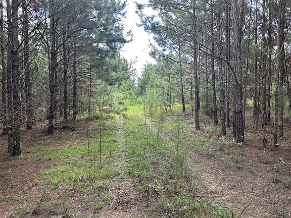 3rd image of 0 County Road 61