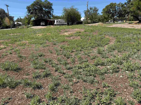 TBD S Chestnut, Cortez, CO 81321