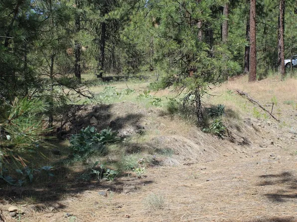 Badger 3 Sontag Ridge Dr, Davenport, WA 99122