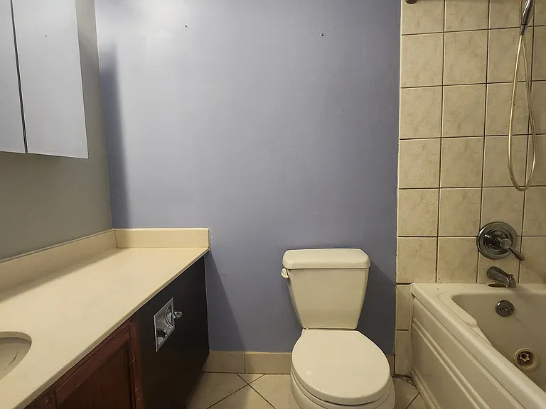 405 N Wabash Ave #309 — Photo 11