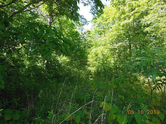 3rd image of 1162 Red Cloud Rd