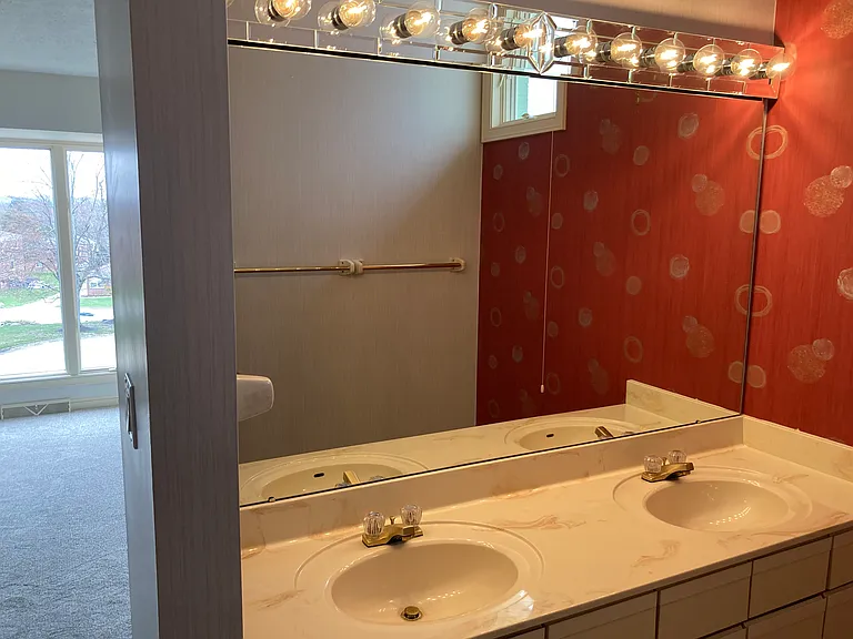 Vanity Sink area of Main Bedroom