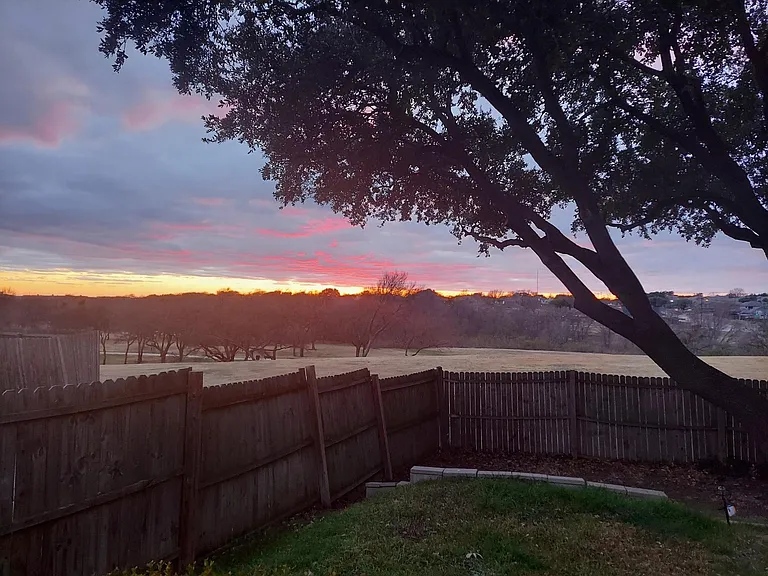 1806 Tree Line Dr — Photo 11