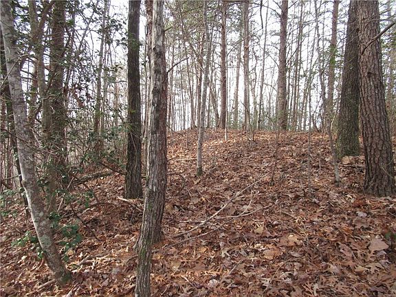 3rd image of 110 Fireside Ln