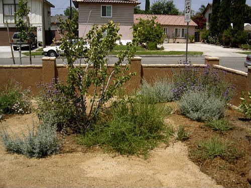 View from Front Windows 1