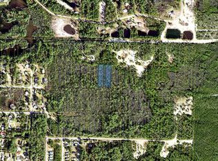 20-07S-04W-4212- Inaccessible Rd, Carrabelle, FL 32322