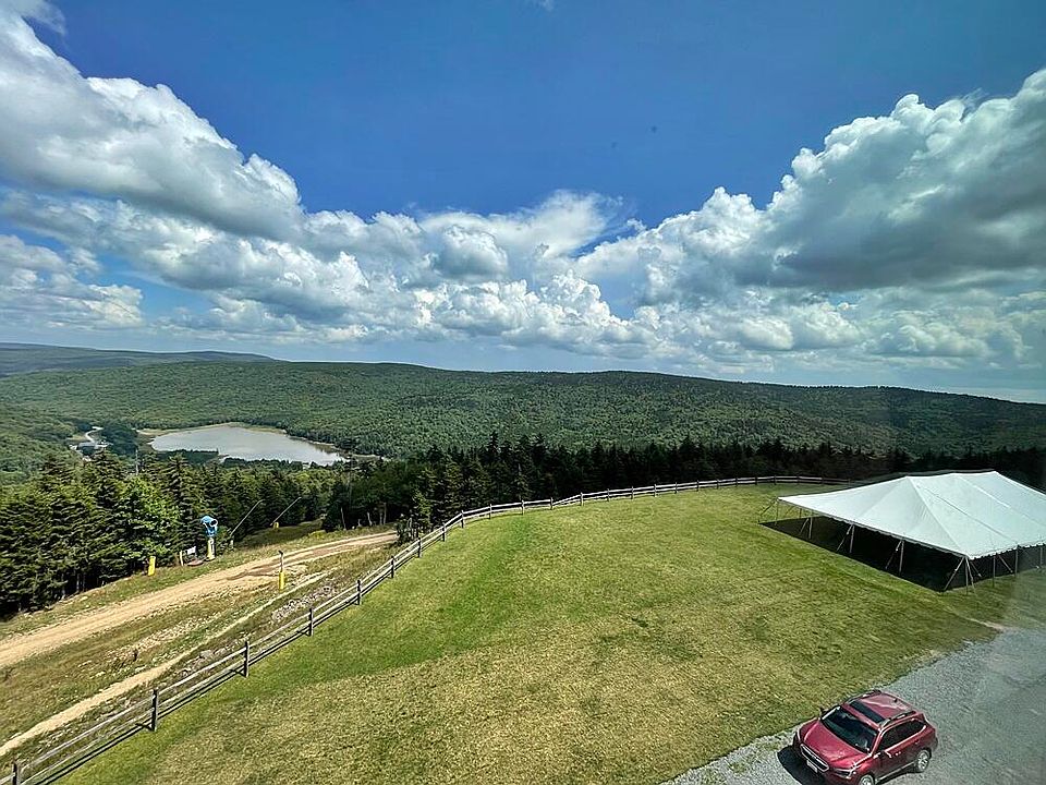 75 Mountain Lodge Ln 350, Slatyfork, WV 26291 Zillow