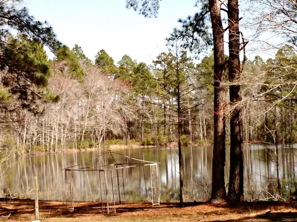 83 Sconyers Mill Rd, Swainsboro, GA 30401