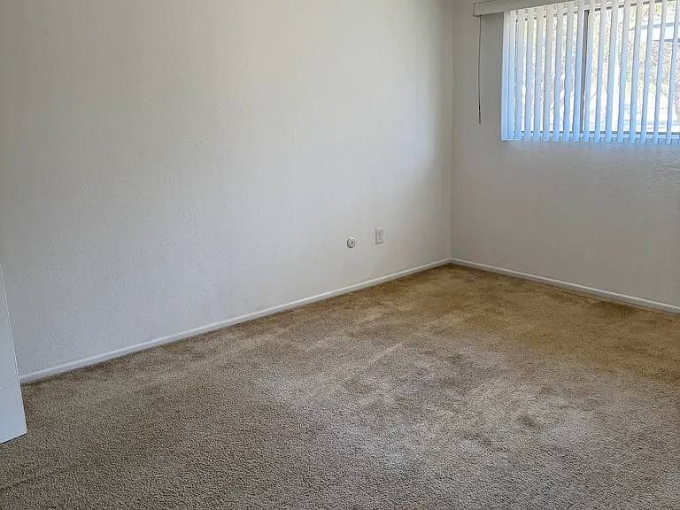 3734 S Marine St #3 — Photo 5