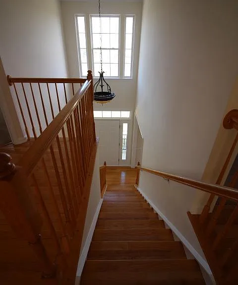 14201 Reidhall Pl — Photo 40