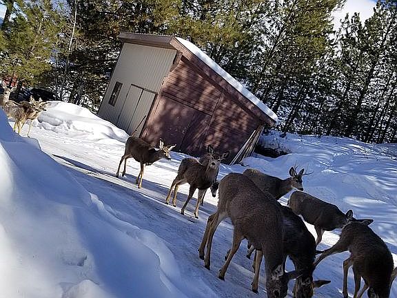 friends here all the time