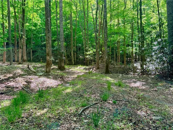 Lot 5A Buckeye Ridge Road, Beech Mountain, NC 28604