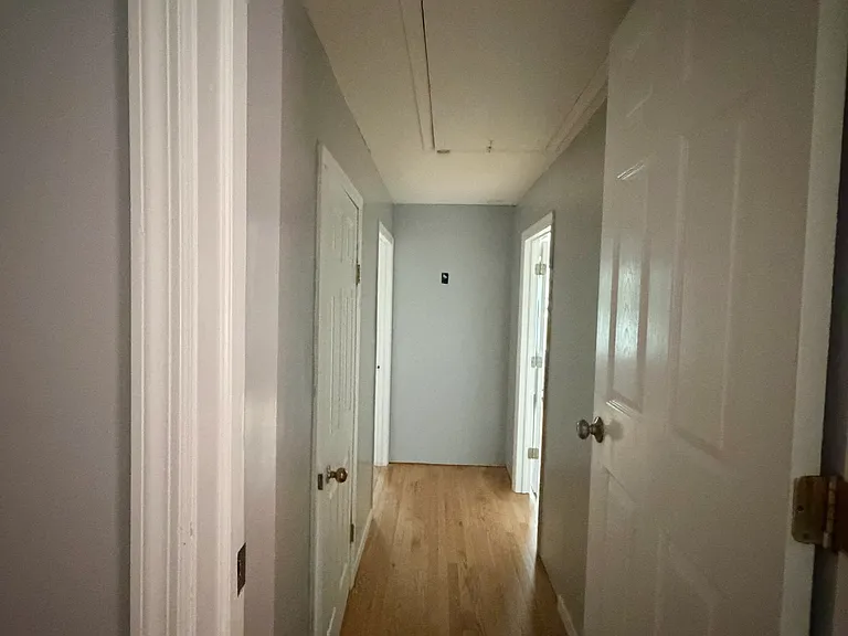 252 Harding Ave #2 — Photo 4