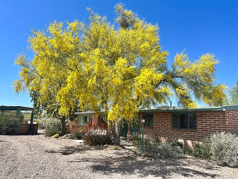 4390 W Camino Nuestro — Photo 1