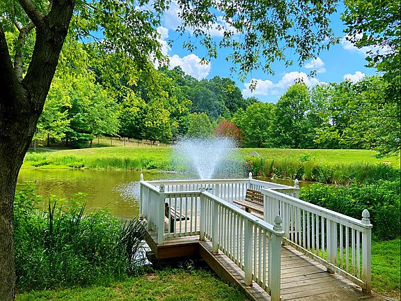 pond