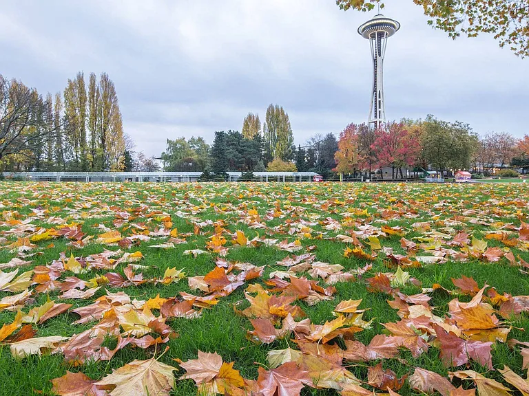 The M Seattle — Photo 33