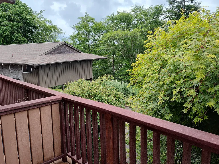 Deck view